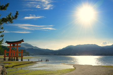 miyajima gate at low tide