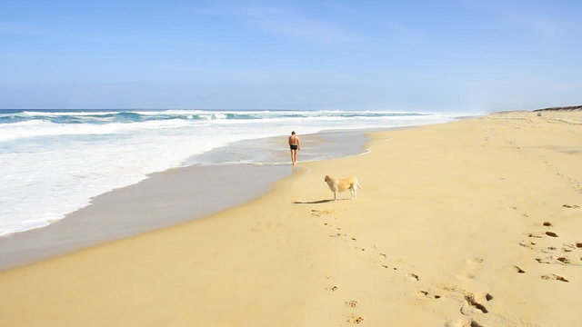 Homme marche avec son chien sur la plage
