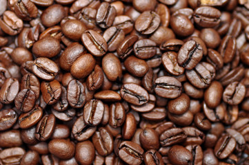 Kaffeebohnen