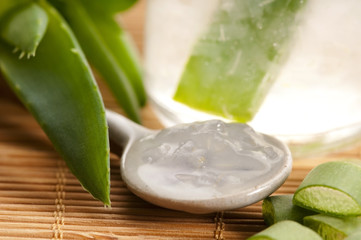 aloe vera juice with fresh leaves