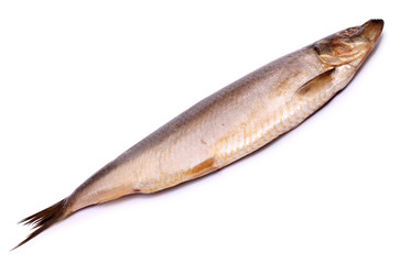 Herring fish