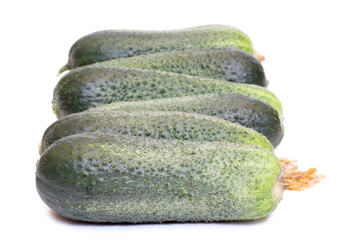 Cucumbers