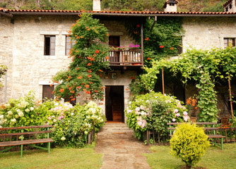 Fototapeta premium Colorful rural house with garden