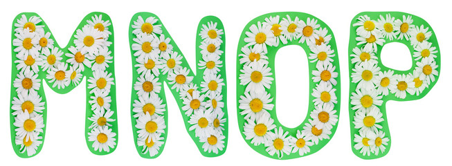 Alphabet from wild camomiles © Aleksandr Volkov