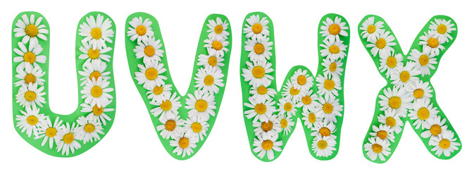 Alphabet from wild camomiles © Aleksandr Volkov