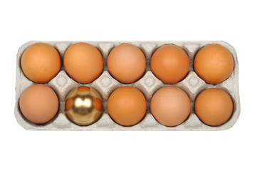 eggs, golden egg