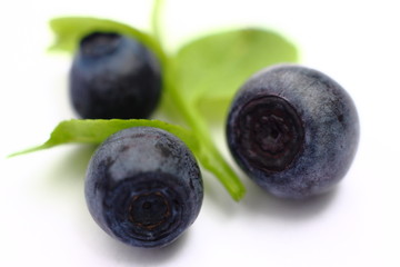 Isolated fruits - Blueberries