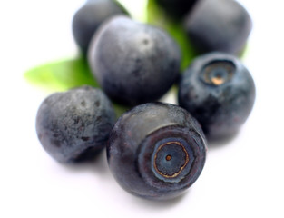 Isolated fruits - Blueberries