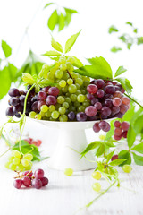 fresh grapes