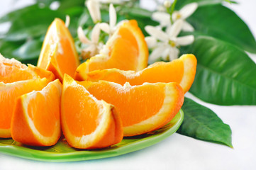 Orange segments with leafs and blossom in a white background