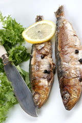 frisch gegrillte Sardinen als Speise zubereitet