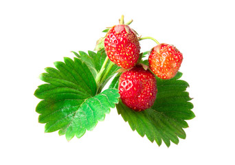 three strawberries