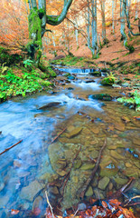 Rocky Autumn Stream