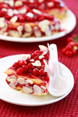 Cheesecake with redcurrant