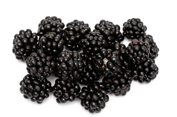 blackberries