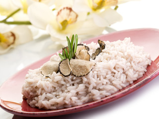 rice with truffle over red dish