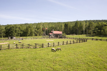 北の国からロケ地