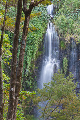 cascade "Anse-des-Cascades", île de la Réunion