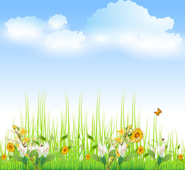 Green Grass with flowers And Blue Sky, Vector Illustration