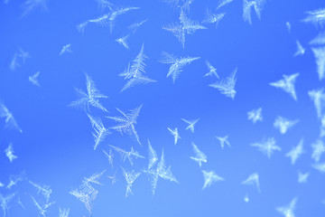 ガラスに付いた氷の結晶