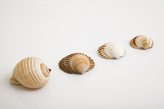 istiridye