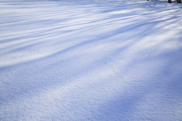 雪原の影