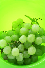 Image of bright green background with wet grape