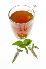 tea with peppermint flowers isolated on white