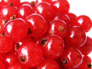 red currant - sweet and sour red berries