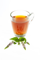 tea in transparent mug and peppermint