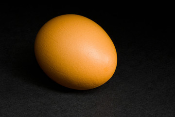 Portrait of ordinary hen's egg in low key.