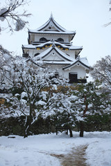 雪の彦根城