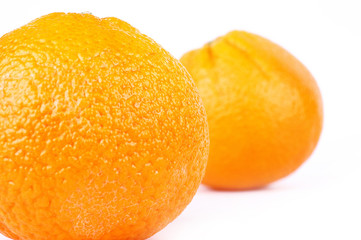 fresh orange