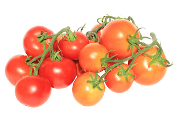several tomato