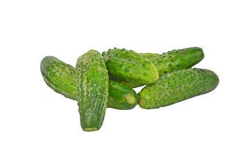 Fresh green cucumber gherkin, isolated on a white background