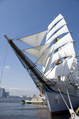 Fototapeta premium 海王丸