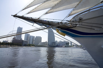 Fototapeta premium 海王丸