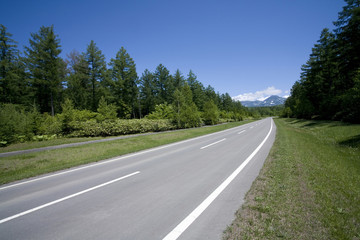 Fototapeta premium ビルケの森の道路