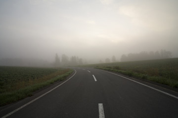 Fototapeta premium 霧の中の道路