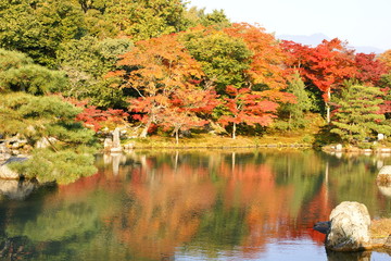 池に映る紅葉　天龍寺