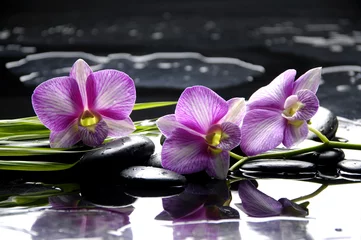 Keuken spatwand met foto Pink orchid with bamboo leaf and stones with reflection © Mee Ting