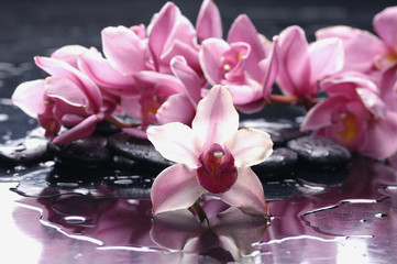 Obraz na płótnie Canvas Bright pink orchid and black stones with reflection