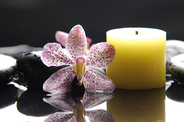 aromatherapy candle and pink orchid with zen stones- spa scene