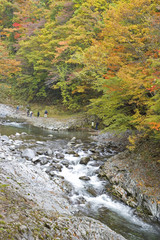 秋の中津川渓谷