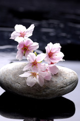 Obraz na płótnie Canvas kamienie terapii z kwiatów wiśni refleksji