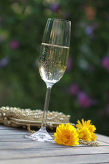 Ein Glas Sekt