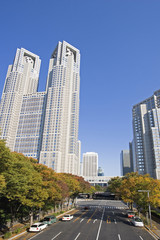 秋の東京都庁舎