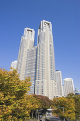 秋の東京都庁舎