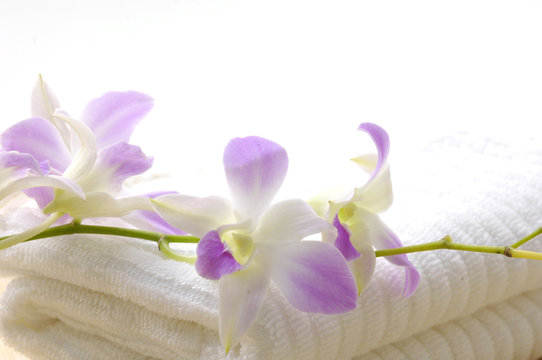 Aromatherapy and spa-orchid and towels