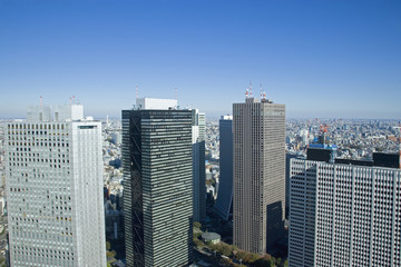 新宿高層ビル群